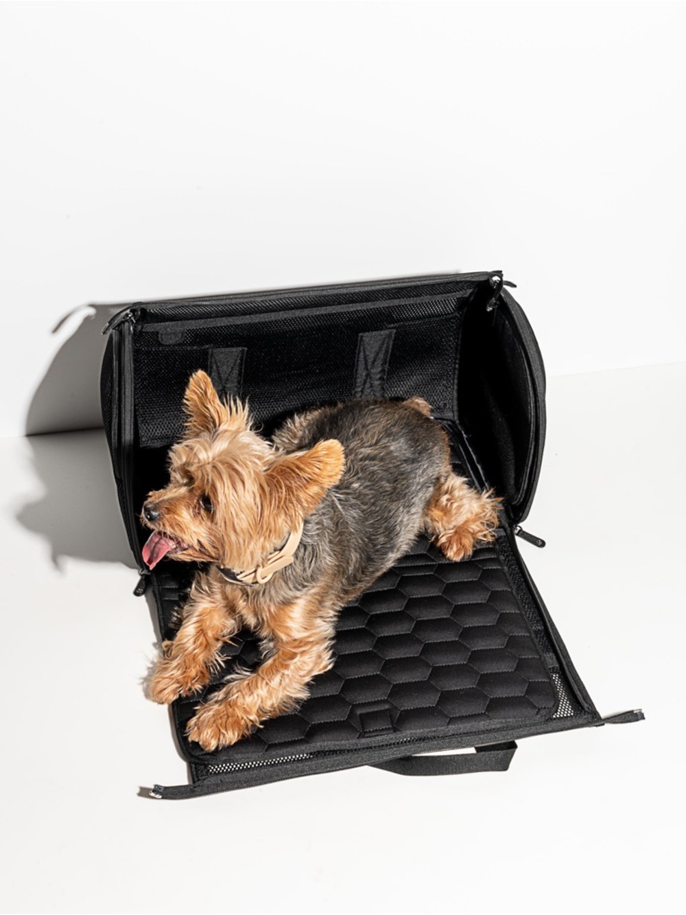 Black Wild One Airline approved Dog Travel Carrier - Picture 3 of 6